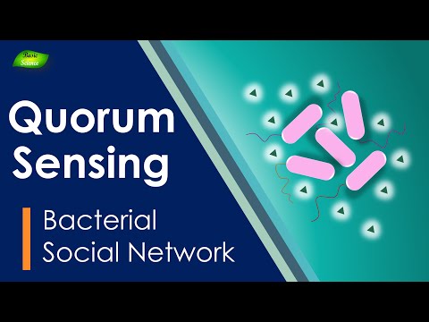 Quorum sensing | Cell communication | Bacteteria | virulence | AHL | Ligand | Basic Science Series